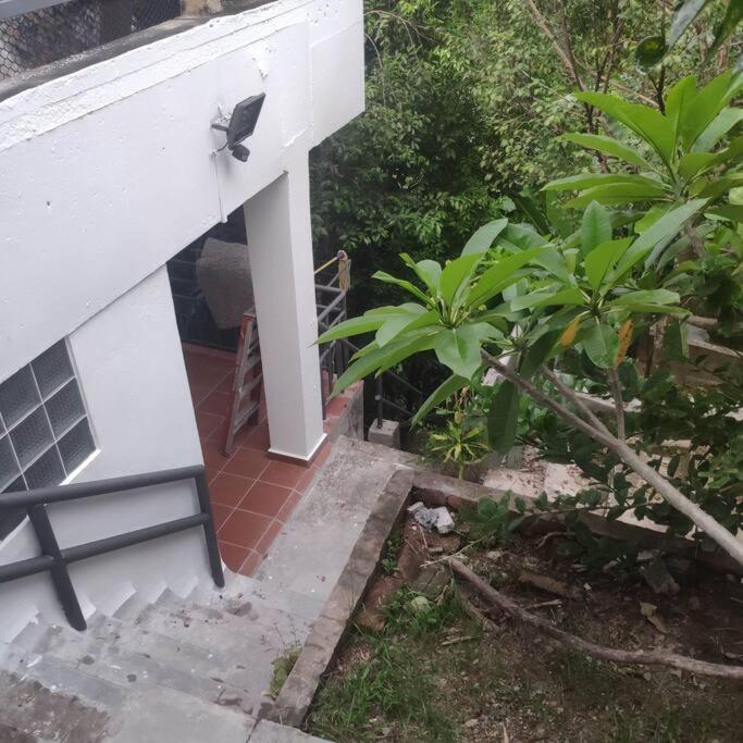 Kk Jungle Hideaway Lovely 5 Mins Walk To Town Apartment Kota Kinabalu
