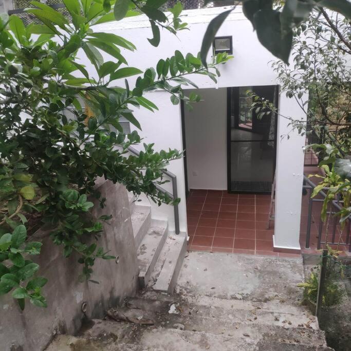 Apartment Kk Jungle Hideaway Lovely 5 Mins Walk To Town Kota Kinabalu