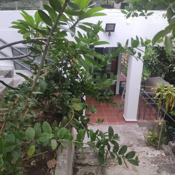 Kk Jungle Hideaway Lovely 5 Mins Walk To Town Kota Kinabalu
